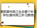 襄阳襄州高三生去哪个补习学校(襄州高三补习推荐)