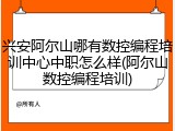 兴安阿尔山哪有数控编程培训中心中职怎么样(阿尔山数控编程培训)