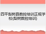 四平梨树县数控培训正规学校(梨树数控培训)