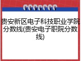 贵安新区电子科技职业学院分数线(贵安电子职院分数线)