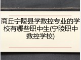 商丘宁陵县学数控专业的学校有哪些职中生(宁陵职中数控学校)