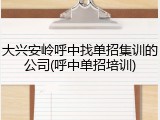 大兴安岭呼中找单招集训的公司(呼中单招培训)