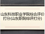 山东科技职业学院综合评价打分(山东职院综评打分)