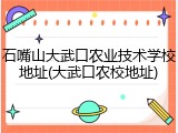 石嘴山大武口农业技术学校地址(大武口农校地址)