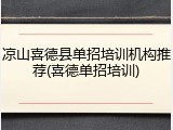 凉山喜德县单招培训机构推荐(喜德单招培训)