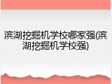 滨湖挖掘机学校哪家强(滨湖挖掘机学校强)