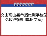 文山砚山县单招集训学校怎么收费(砚山单招学费)