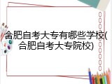 合肥自考大专有哪些学校(合肥自考大专院校)