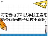 河南省电子科技学校王春阳简介(河南电子科技王春阳)