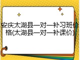 安庆太湖县一对一补习班价格(太湖县一对一补课价)