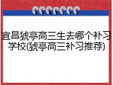 宜昌猇亭高三生去哪个补习学校(猇亭高三补习推荐)