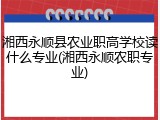 湘西永顺县农业职高学校读什么专业(湘西永顺农职专业)