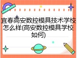 宜春高安数控模具技术学校怎么样(高安数控模具学校如何)
