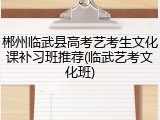 郴州临武县高考艺考生文化课补习班推荐(临武艺考文化班)