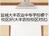 盐城大丰农业中专学校哪个校区好(大丰农校校区对比)