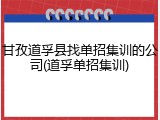 甘孜道孚县找单招集训的公司(道孚单招集训)
