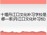 十堰丹江口文化补习学校是哪一家(丹江口文化补习校)