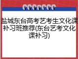 盐城东台高考艺考生文化课补习班推荐(东台艺考文化课补习)