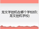 龙文学挖机在哪个学校好(龙文挖机学校)