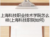 上海科技职业技术学院怎么样(上海科技职院如何)