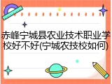 赤峰宁城县农业技术职业学校好不好(宁城农技校如何)