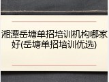 湘潭岳塘单招培训机构哪家好(岳塘单招培训优选)