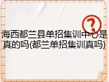 海西都兰县单招集训中心是真的吗(都兰单招集训真吗)