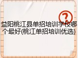 益阳桃江县单招培训学校哪个最好(桃江单招培训优选)