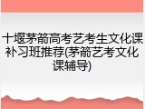 十堰茅箭高考艺考生文化课补习班推荐(茅箭艺考文化课辅导)