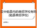 汉中勉县内的单招学校有吗(勉县单招学校)