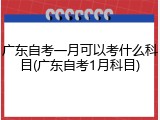 广东自考一月可以考什么科目(广东自考1月科目)