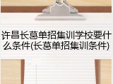 许昌长葛单招集训学校要什么条件(长葛单招集训条件)