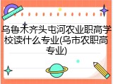乌鲁木齐头屯河农业职高学校读什么专业(乌市农职高专业)