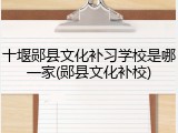 十堰郧县文化补习学校是哪一家(郧县文化补校)