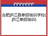 合肥庐江县单招培训学校(庐江单招培训)
