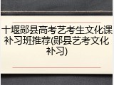 十堰郧县高考艺考生文化课补习班推荐(郧县艺考文化补习)