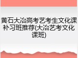 黄石大冶高考艺考生文化课补习班推荐(大冶艺考文化课班)