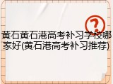 黄石黄石港高考补习学校哪家好(黄石港高考补习推荐)