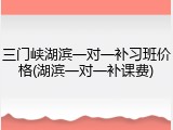 三门峡湖滨一对一补习班价格(湖滨一对一补课费)