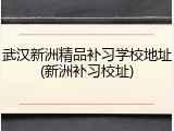 武汉新洲精品补习学校地址(新洲补习校址)