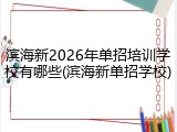 滨海新2026年单招培训学校有哪些(滨海新单招学校)