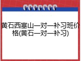 黄石西塞山一对一补习班价格(黄石一对一补习)