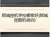 阿城挖机学校哪家好(阿城挖掘机培训)