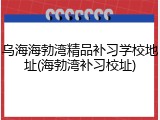 乌海海勃湾精品补习学校地址(海勃湾补习校址)