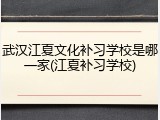 武汉江夏文化补习学校是哪一家(江夏补习学校)