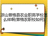 凉山普格县农业职高学校怎么样啊(普格农职校如何)