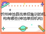 忻州神池县找单招集训的机构有哪些(神池单招机构)