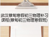 武汉蔡甸寒假初三物理补习课程(蔡甸初三物理寒假班)
