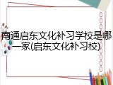 南通启东文化补习学校是哪一家(启东文化补习校)