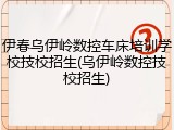 伊春乌伊岭数控车床培训学校技校招生(乌伊岭数控技校招生)